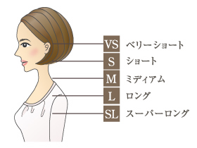 長さ目安図